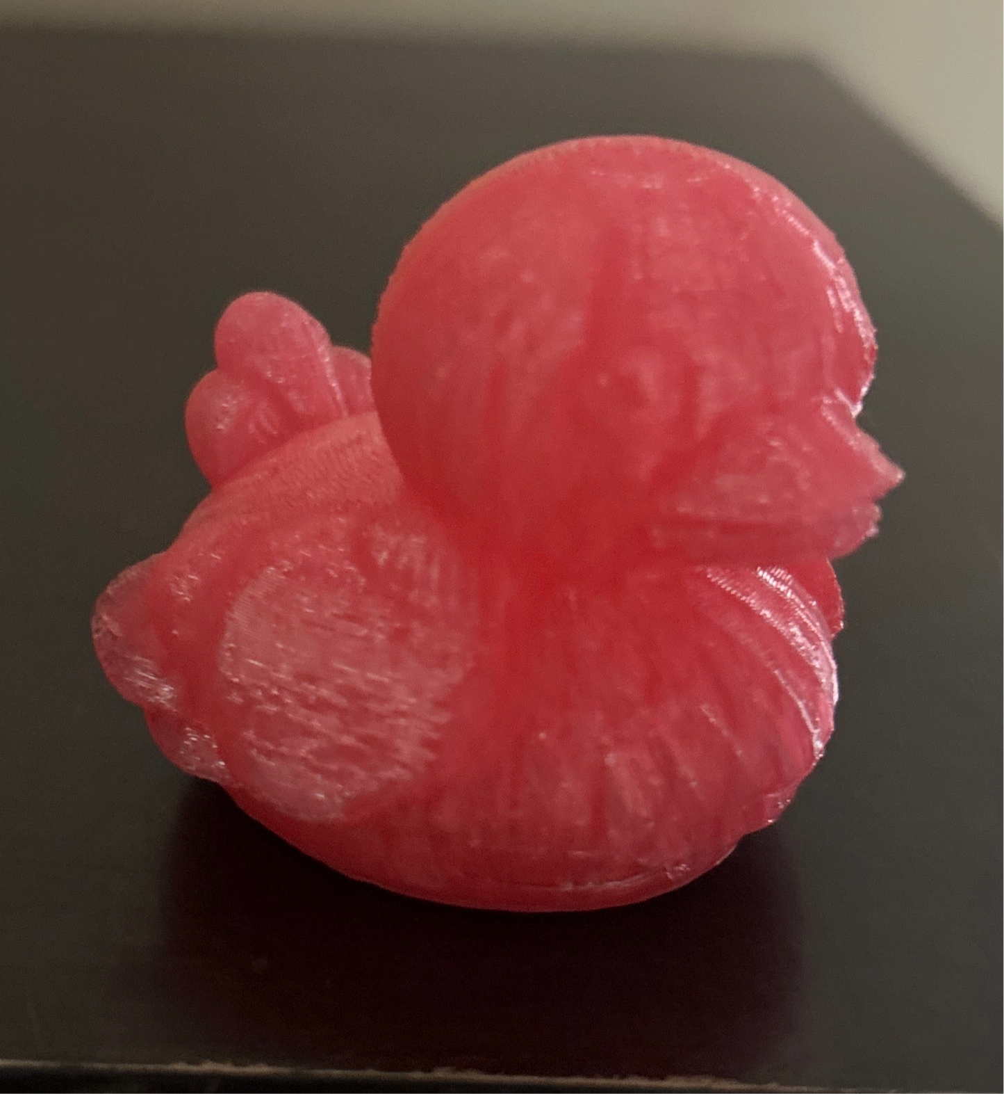 3D Printed Duck Large